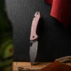 GiantMouse ACE Grand Micarta Red 1 GiantMouse ACE Grand Micarta Red -outdoor knives sale img 1984