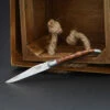 Laguiole En Aubrac Thuja 9 Cm 1 Laguiole En Aubrac Thuja 9 Cm -outdoor knives sale laguioleenaubracthuja