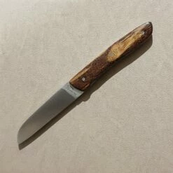 Perceval L08 Ebony 23 Perceval L08 Ebony -outdoor knives sale photopictureresizer 190426 121926391 907x907 1