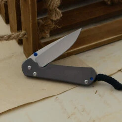 Chris Reeve Sebenza 31 Plain Linkshand